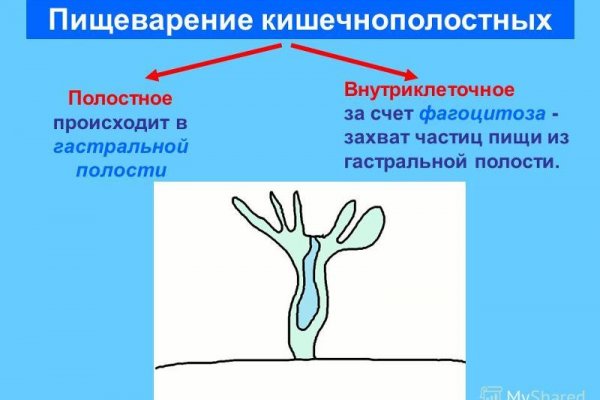 Как зарегистрироваться в кракен в россии