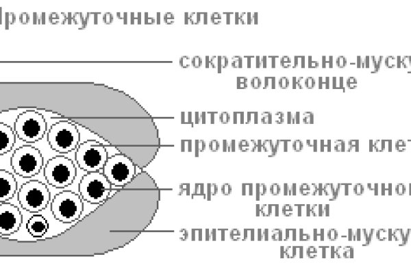 Кракен что там продают